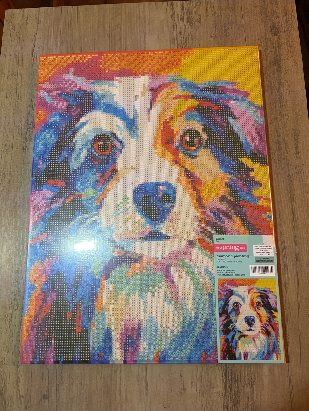 🆕💜 Rainbow Dog Diamond Painting Kit New Hobby Lobby DIY Craft Canvas Wall Art